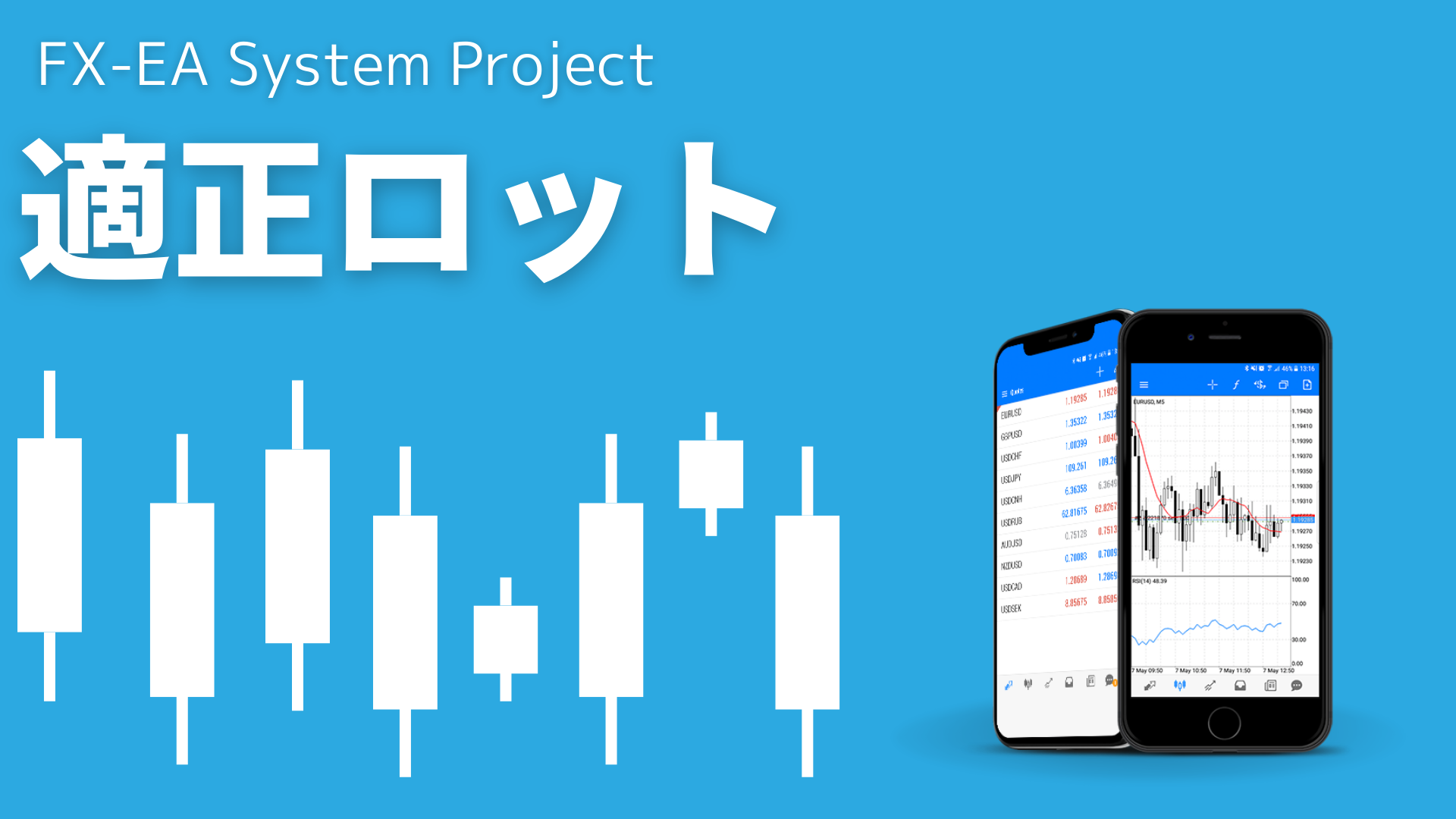 FX　適正ロット