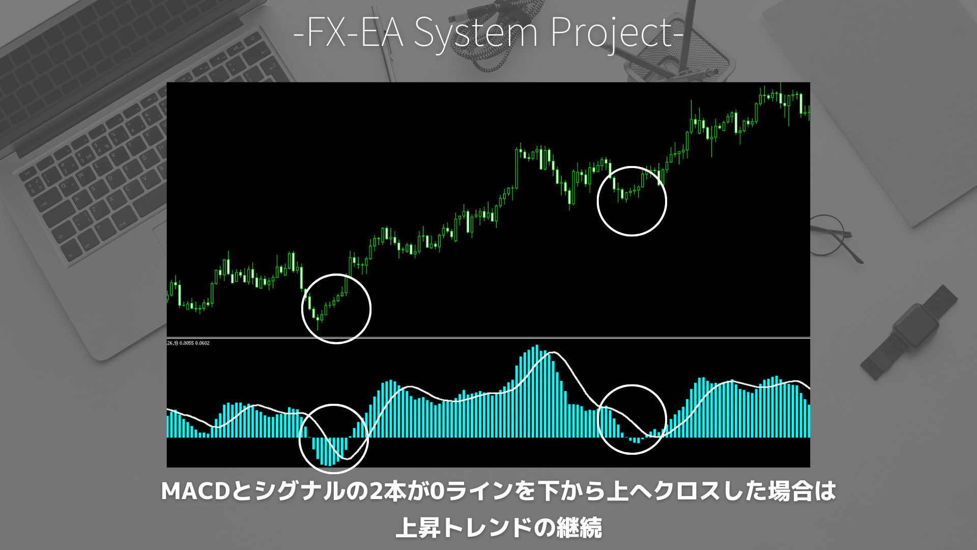 FX　MACD