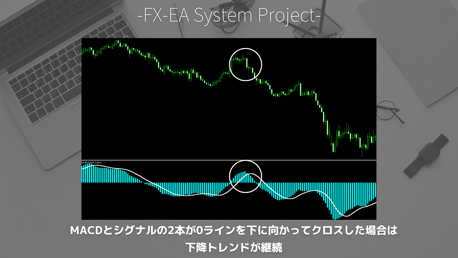 FX　MACD