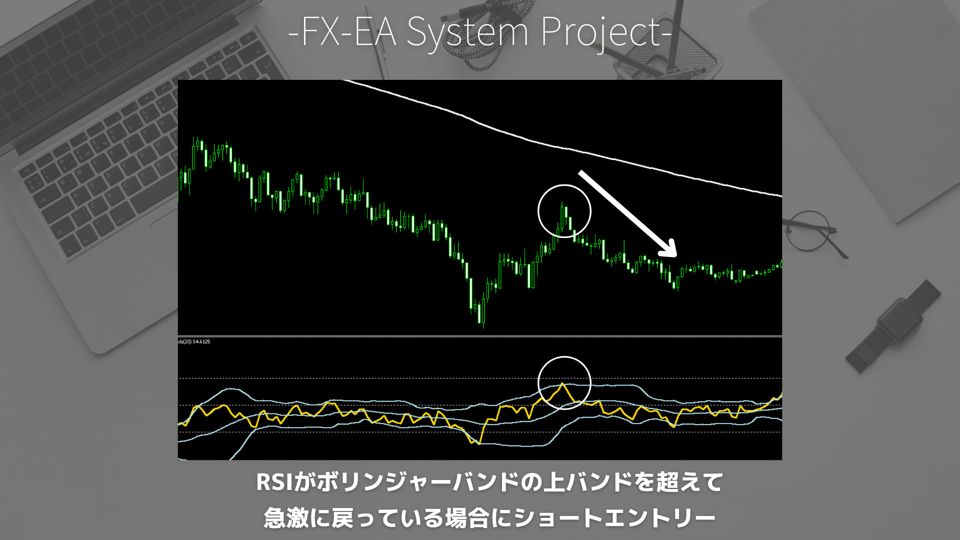 FX　RSI