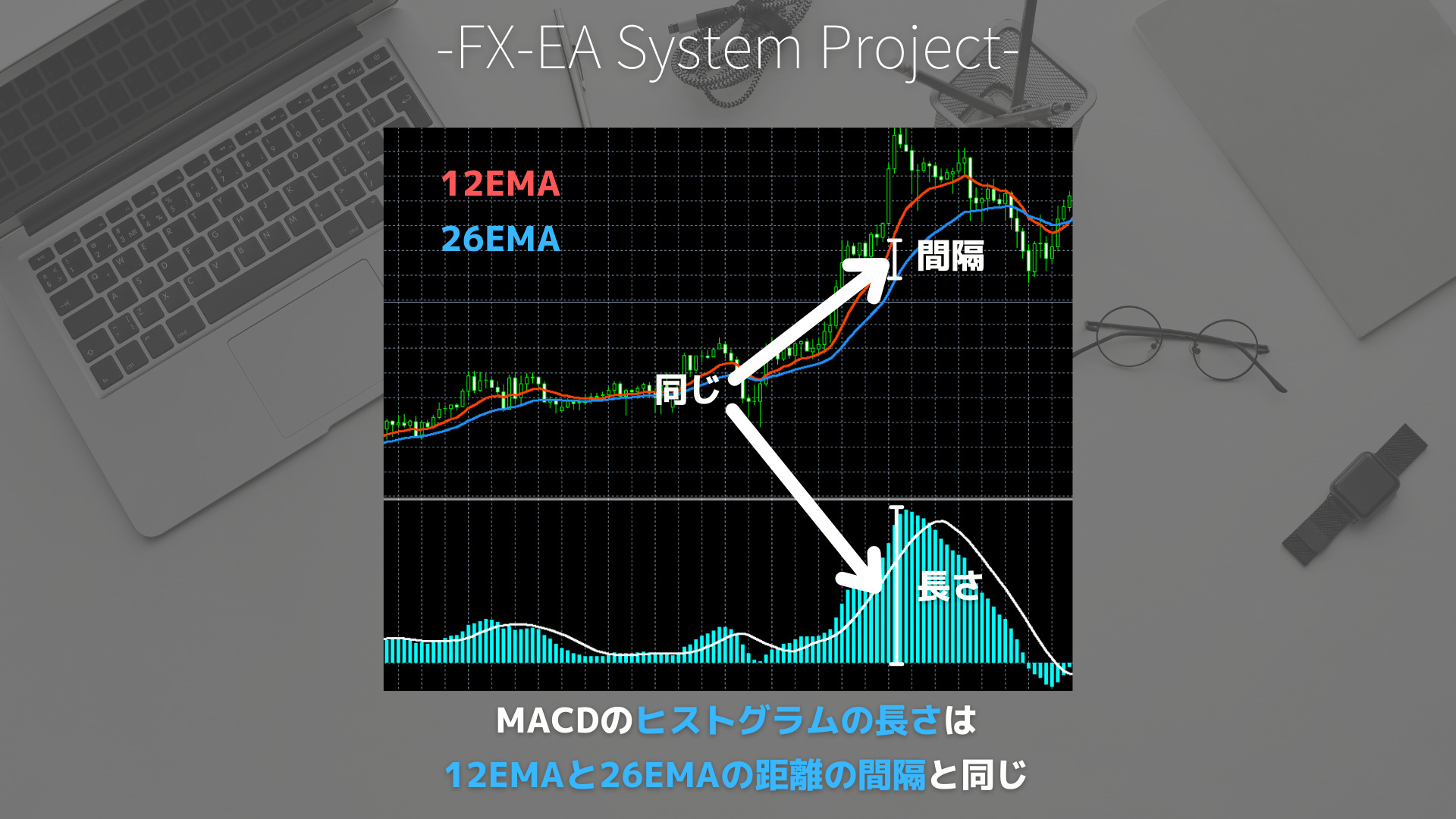 FX　MACD