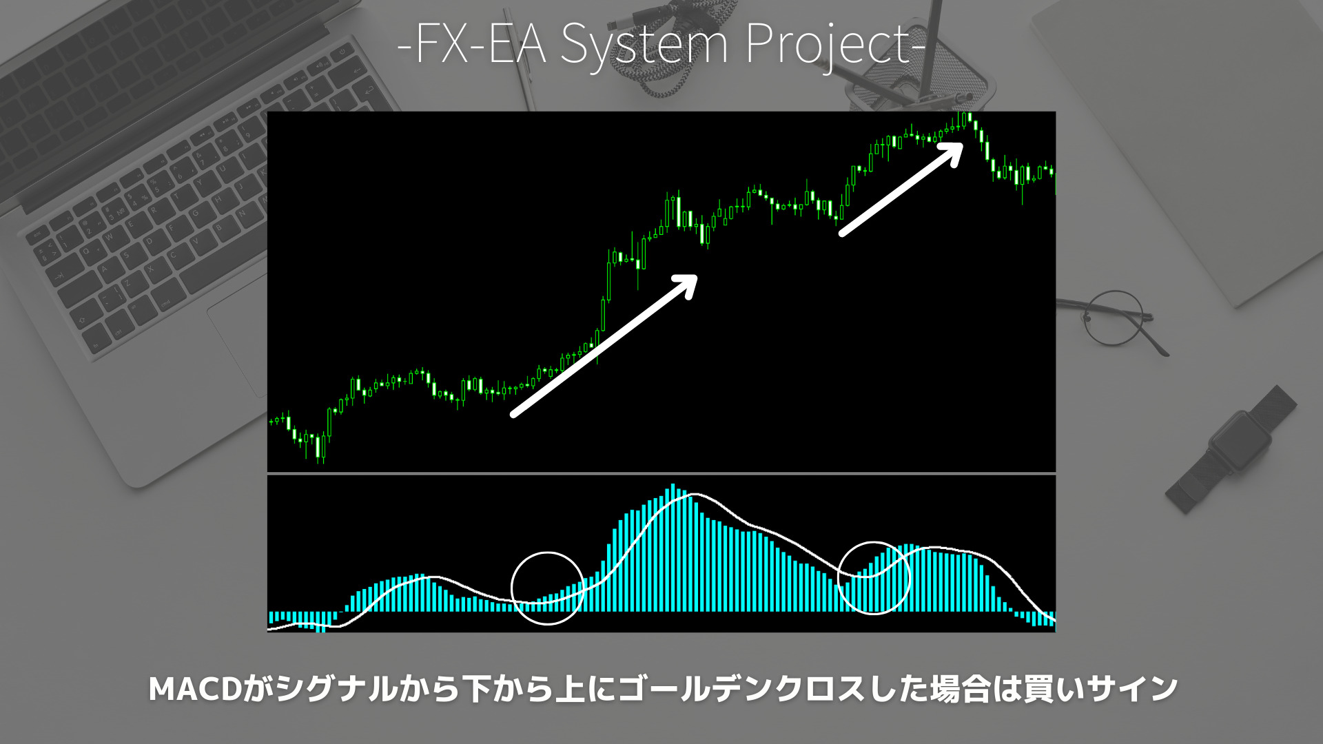 FX　MACD