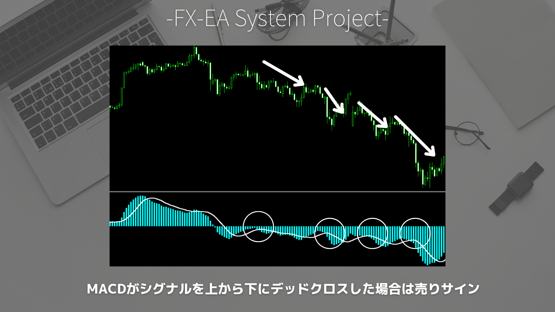 FX　MACD