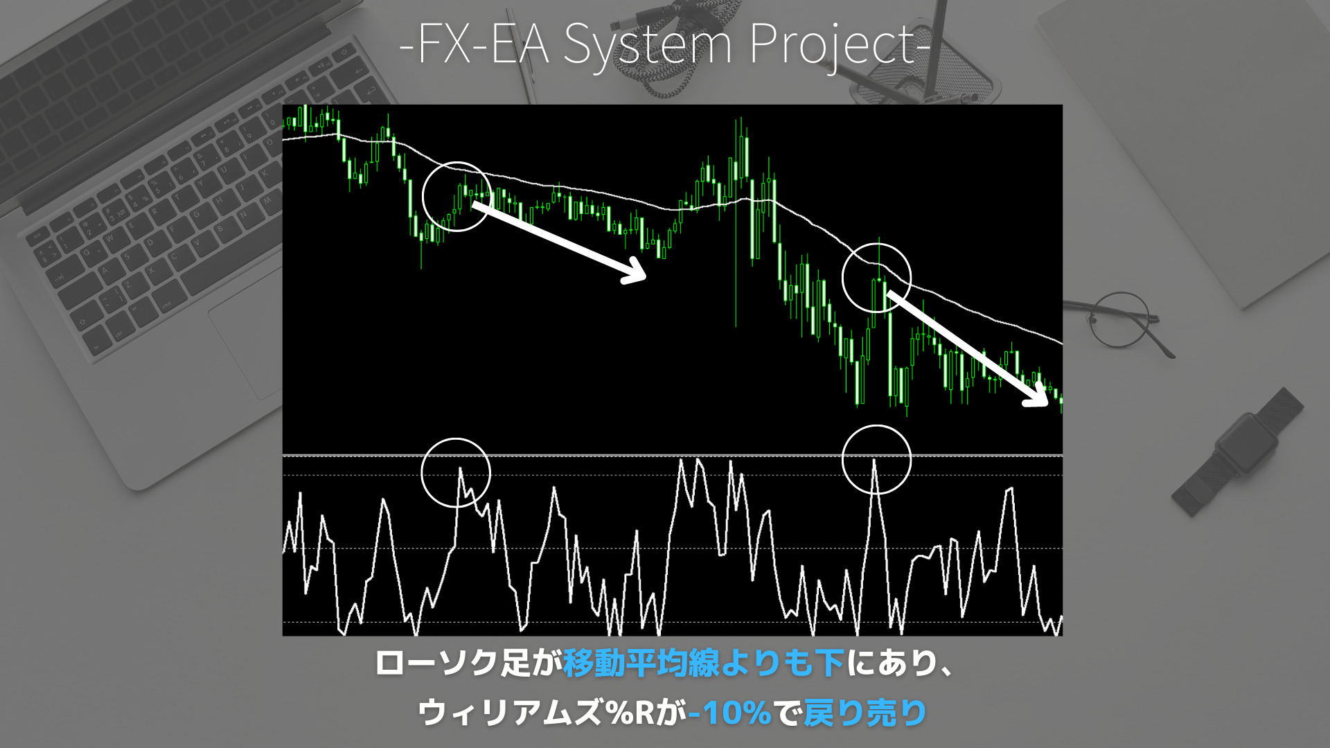 FX　ウィリアムズ%R