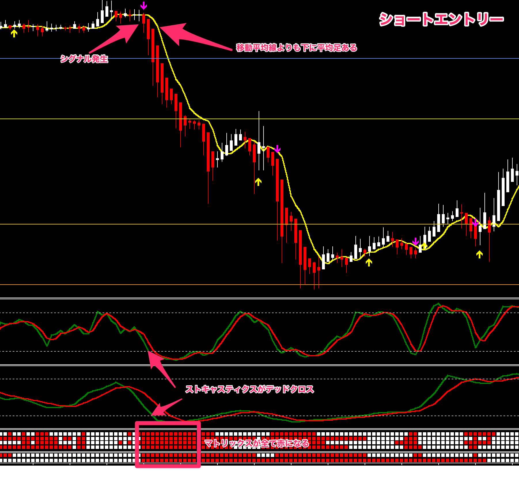 FX　Genesis Matrix Trading