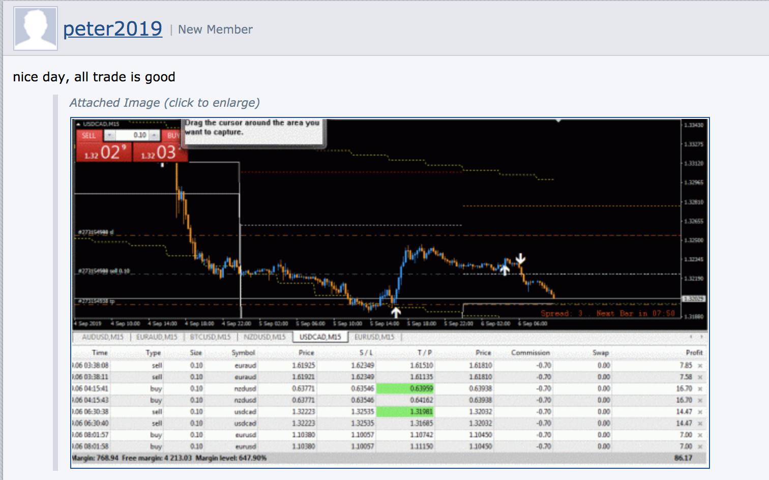 FX　BTM（Beat The Market strategy）