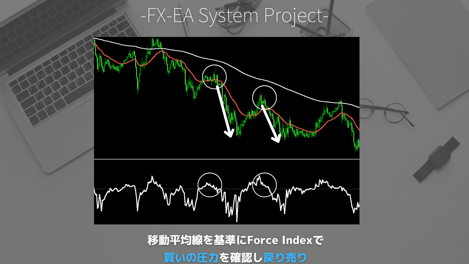 FX　Force Index