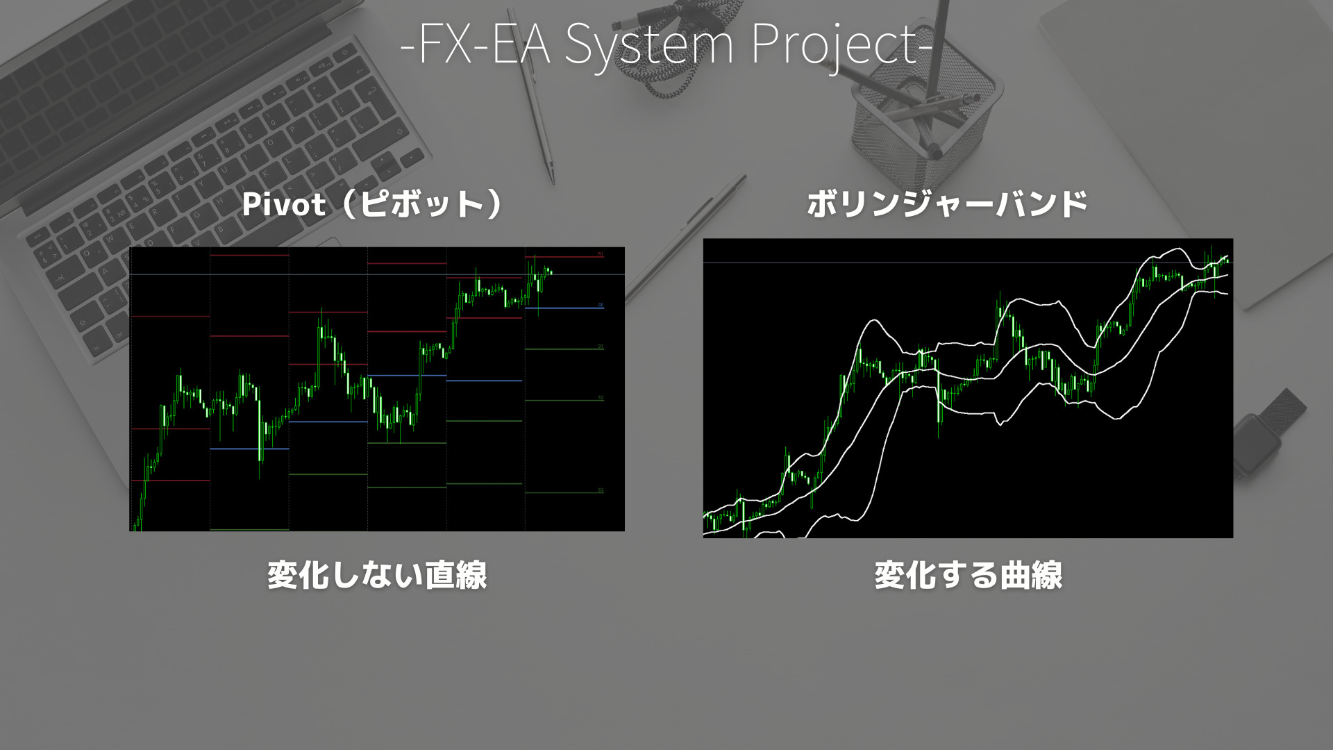 FX　Pivot（ピボット）