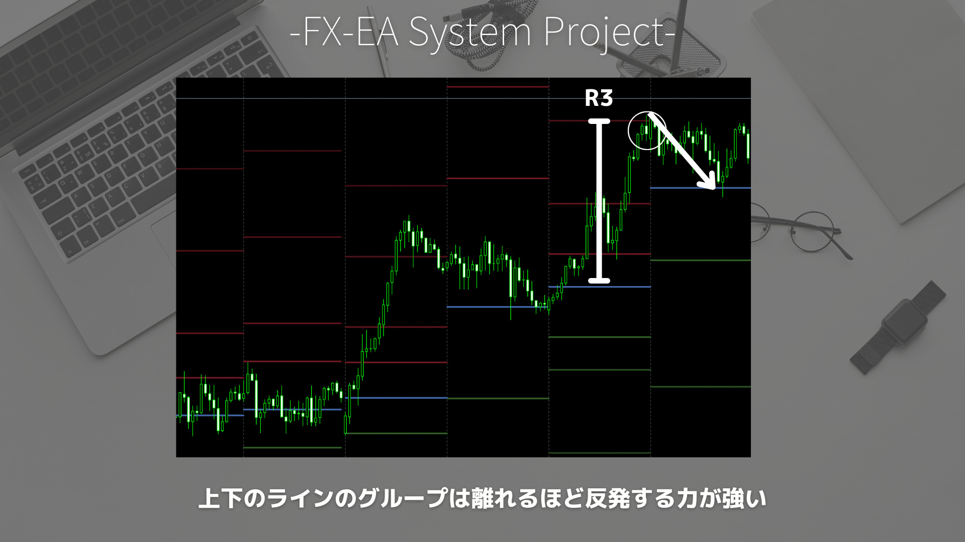 FX　Pivot（ピボット）