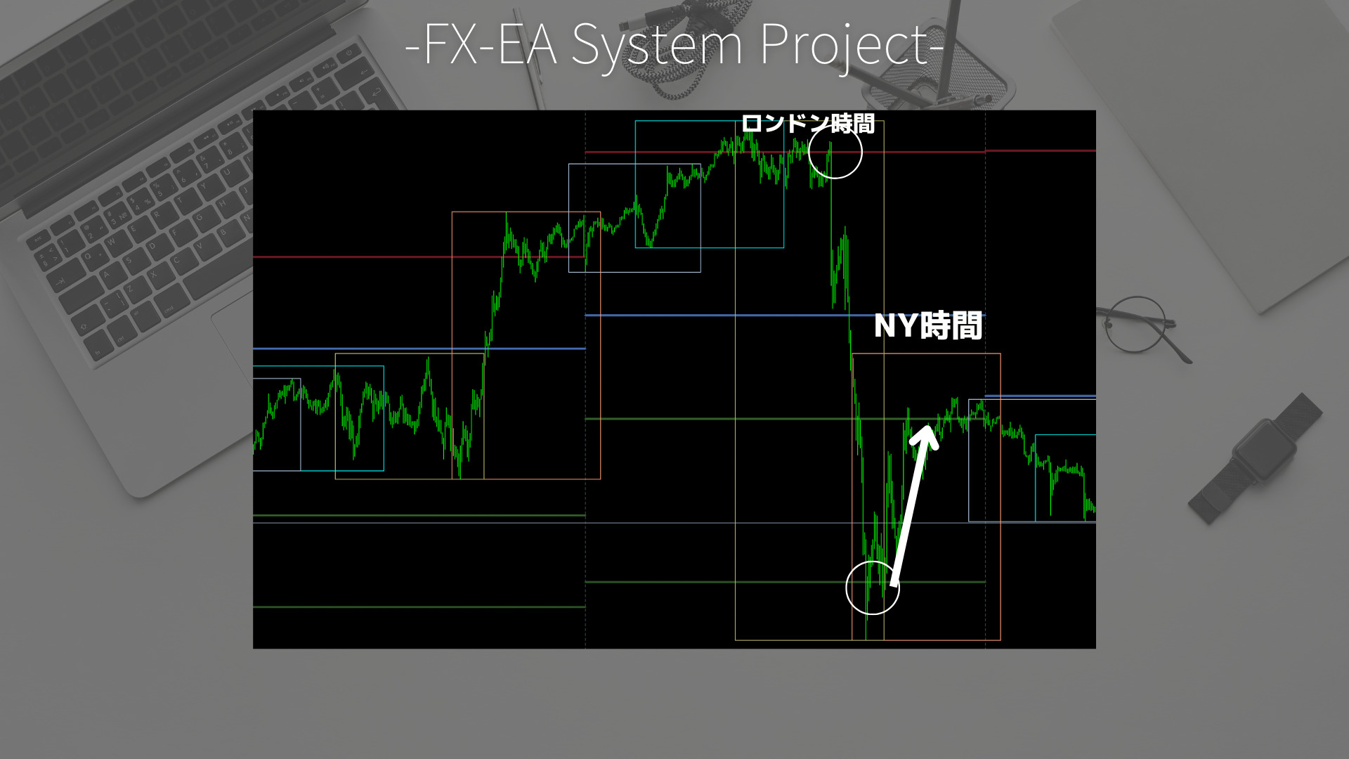 FX　Pivot（ピボット）