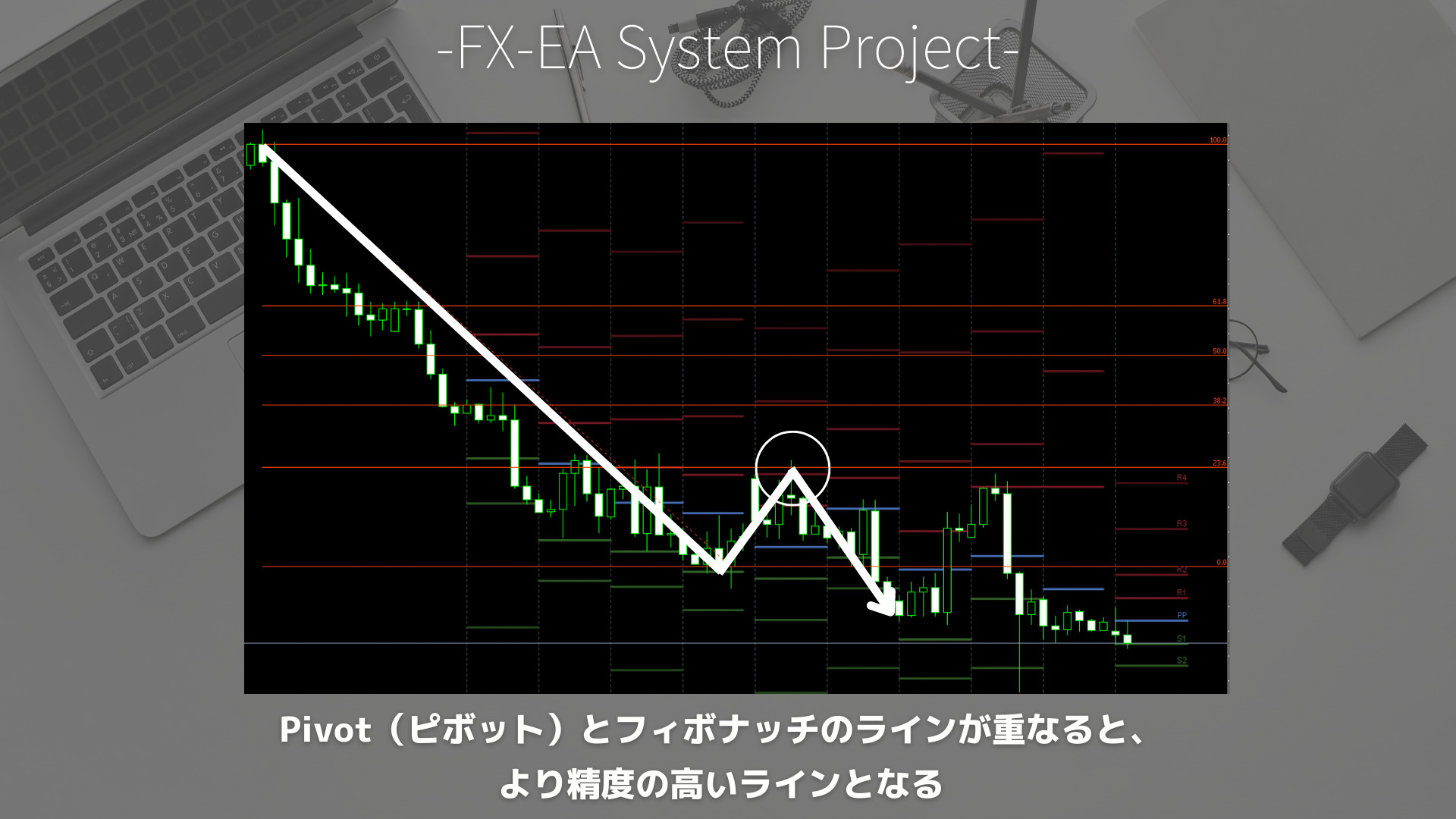 FX　Pivot（ピボット）