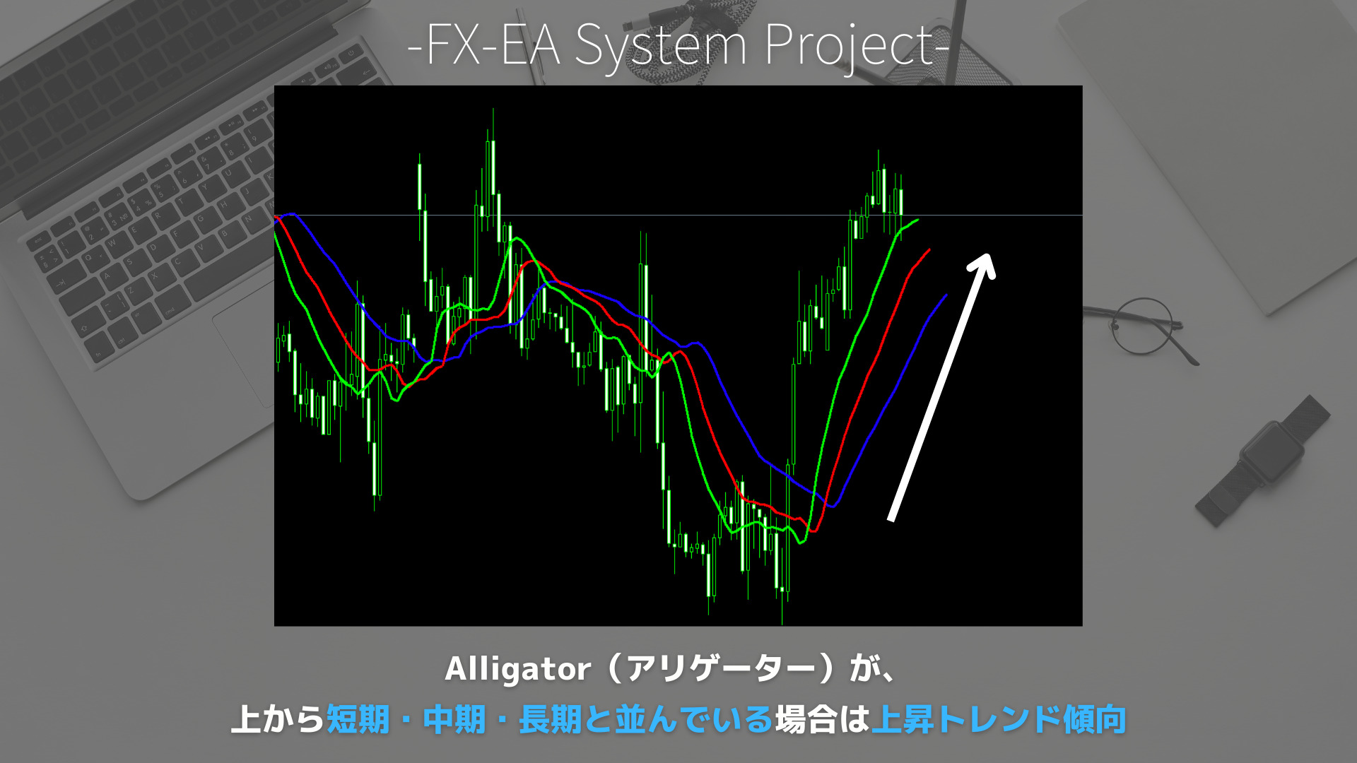 FX　Alligator（アリゲーター）