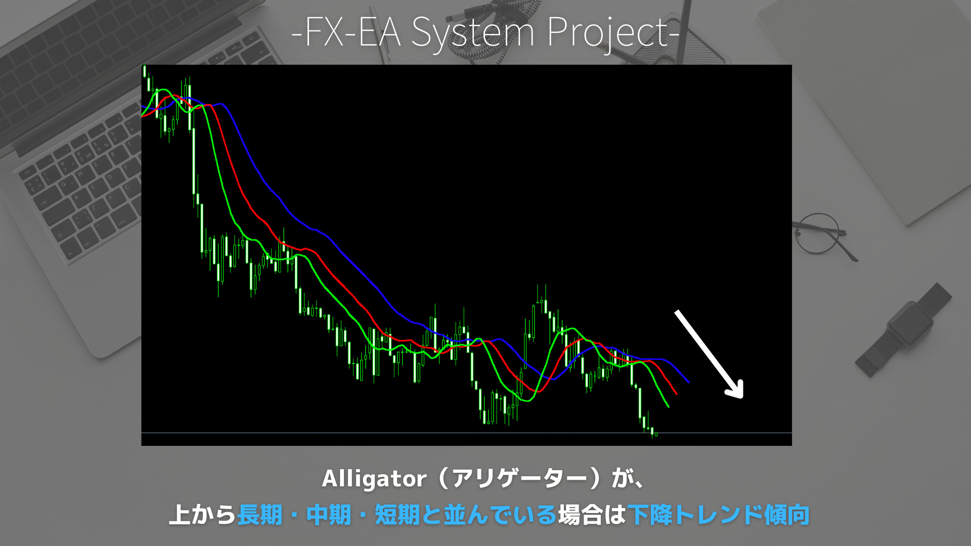 FX　Alligator（アリゲーター）