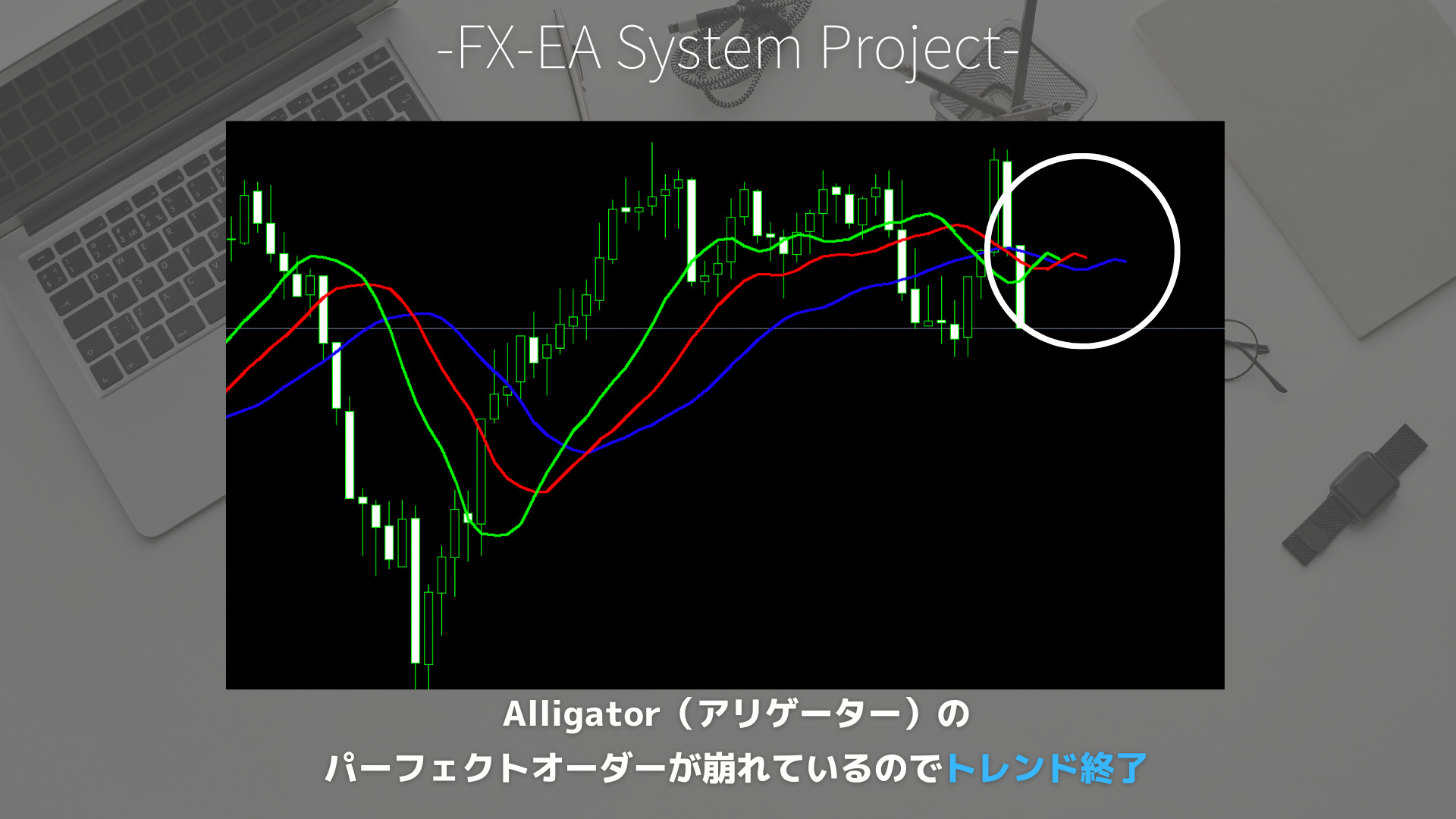 FX　Alligator（アリゲーター）