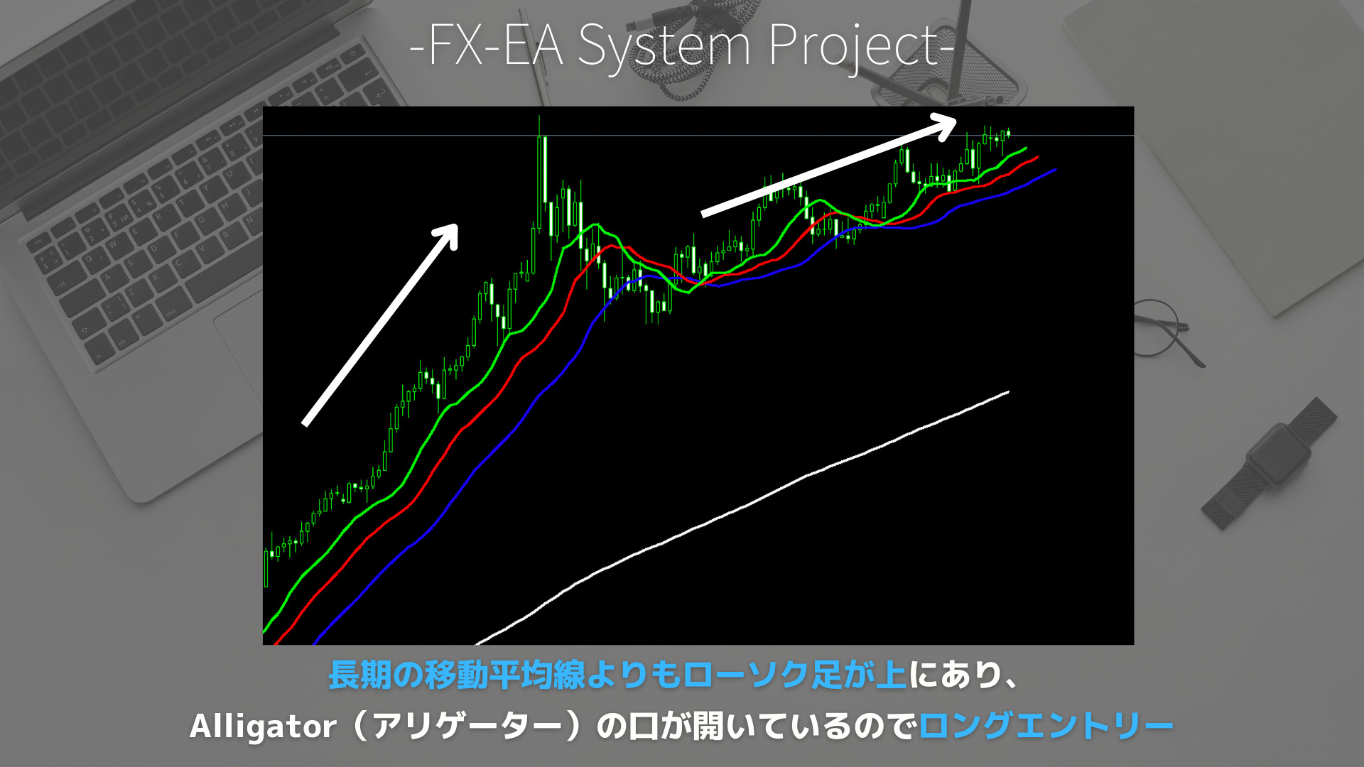 FX　Alligator（アリゲーター）