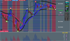 FX手法　XARD　Simple Trend Following Trading System