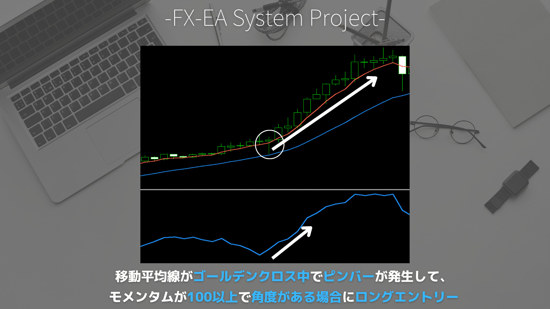 FX　モメンタム