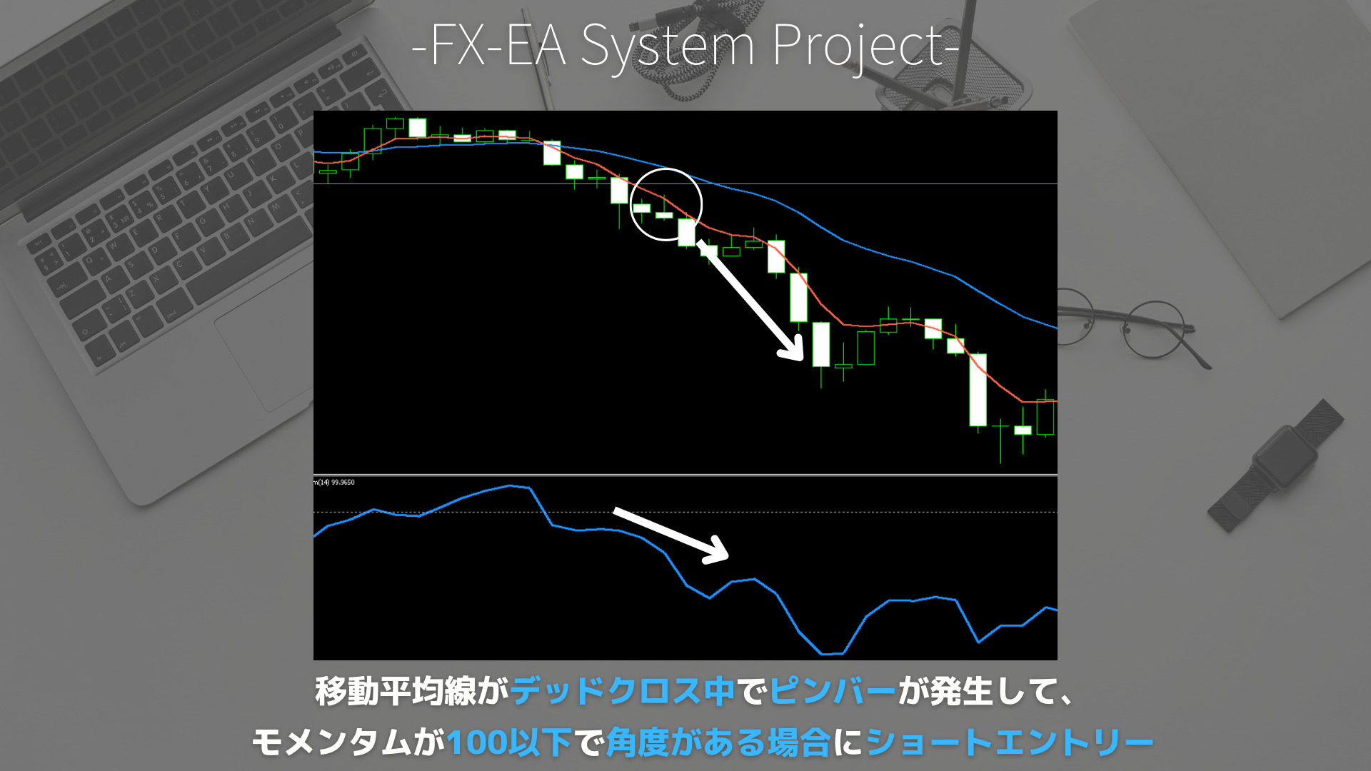 FX　モメンタム