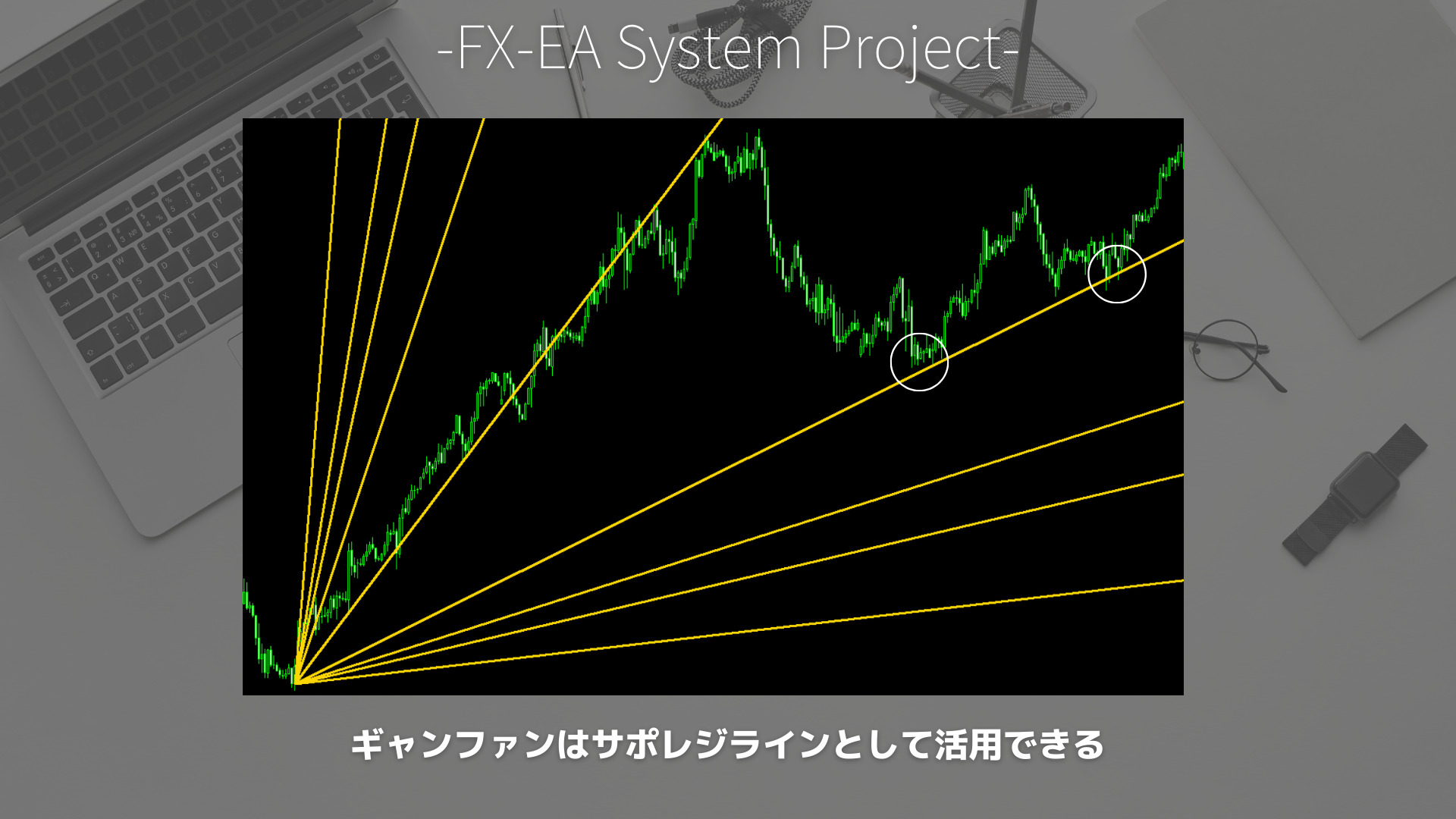 FX　ギャンファン