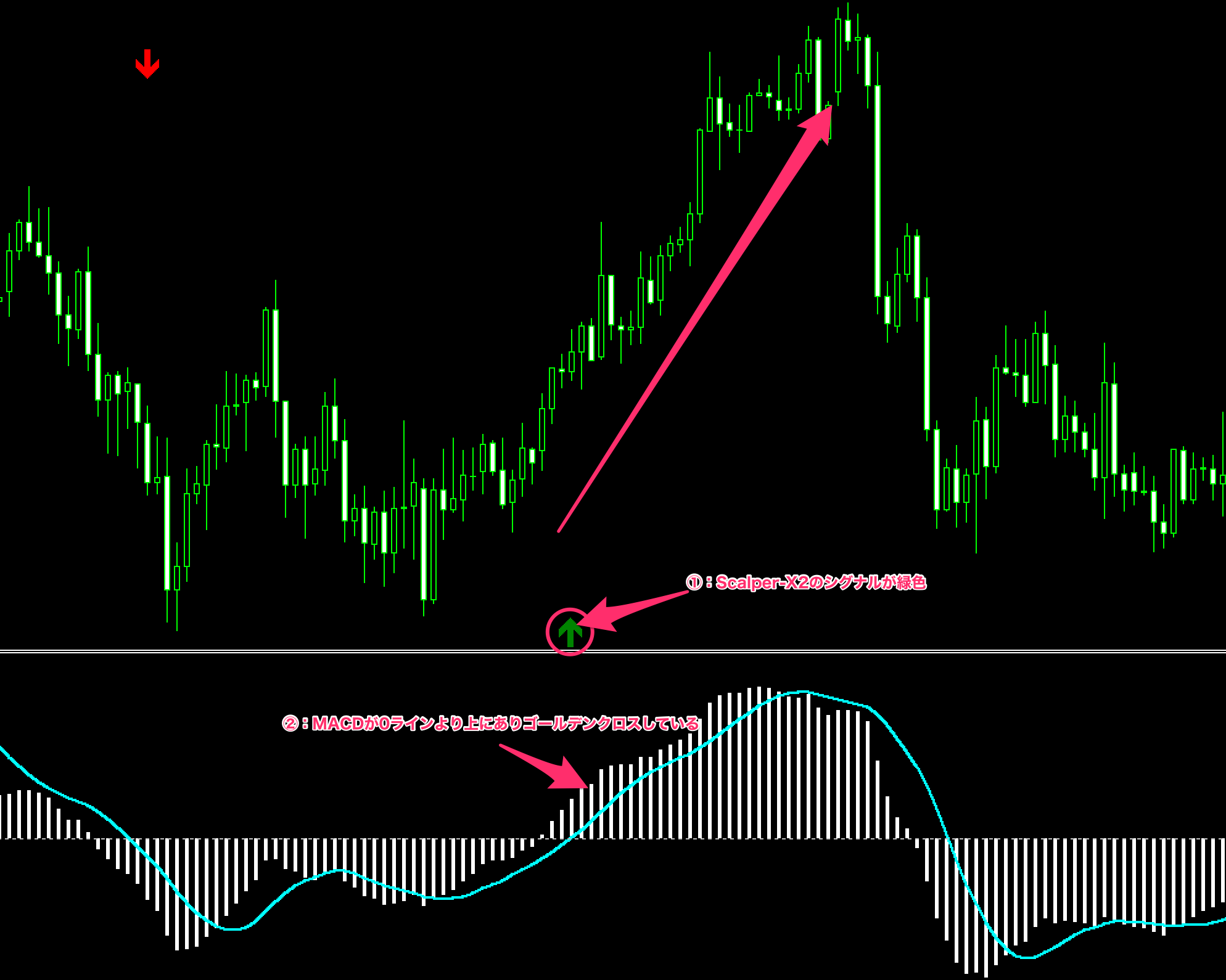 Scalper-X2 System