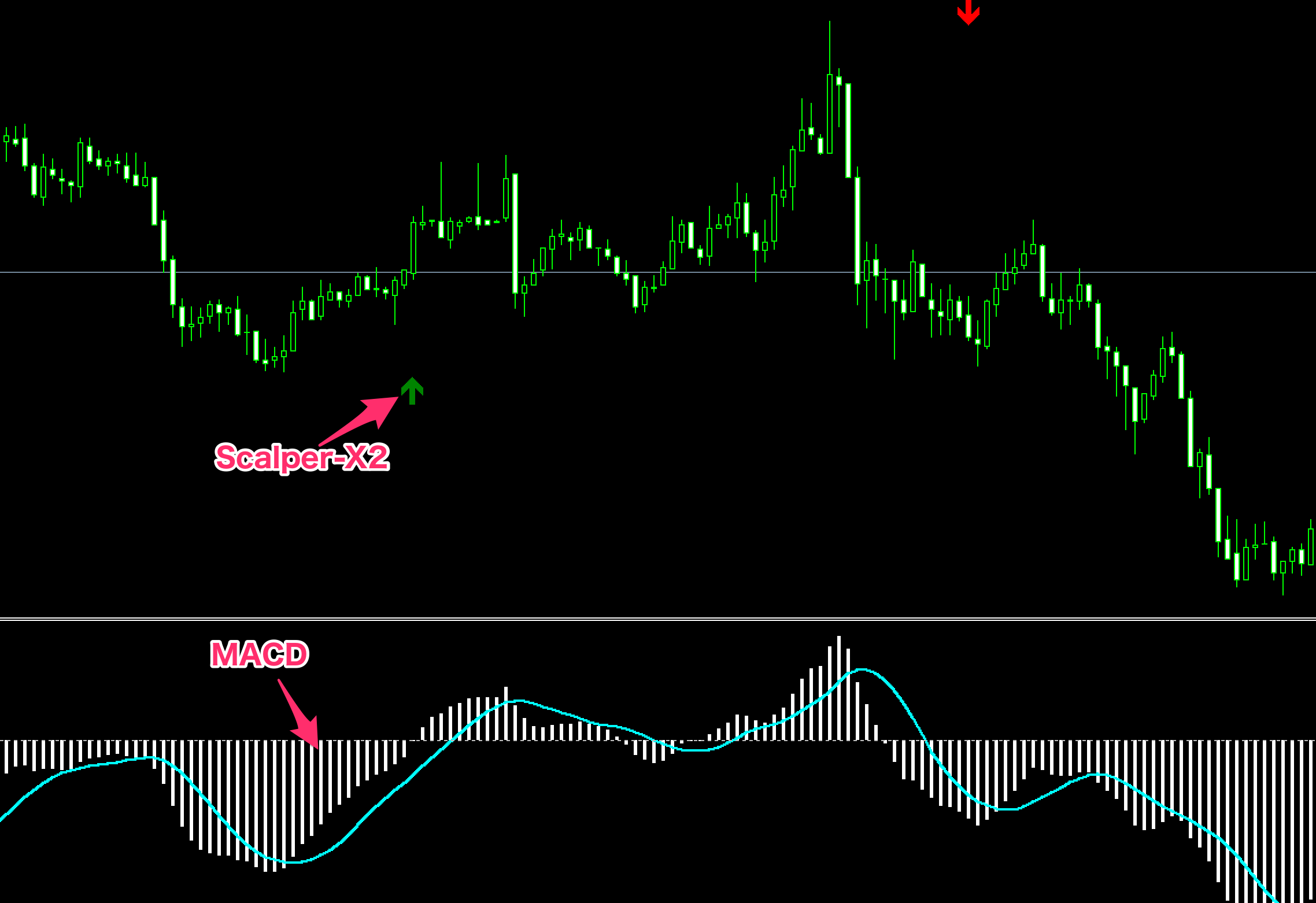 Scalper-X2 System