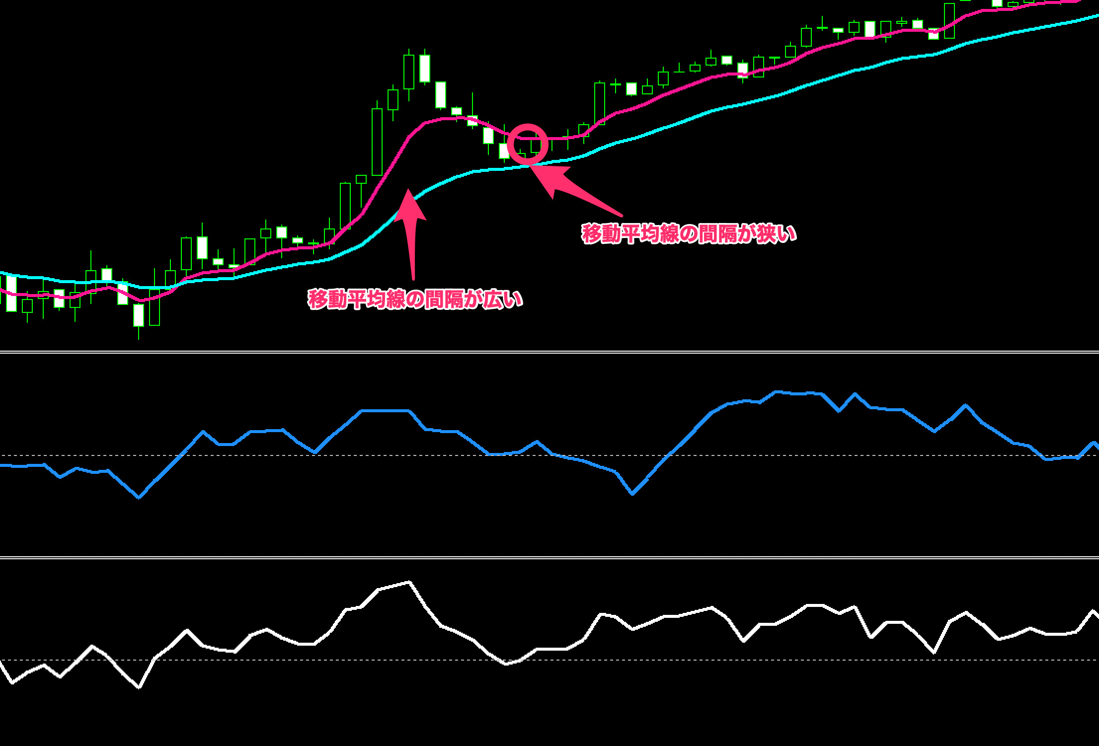 FX手法　Simple Break System