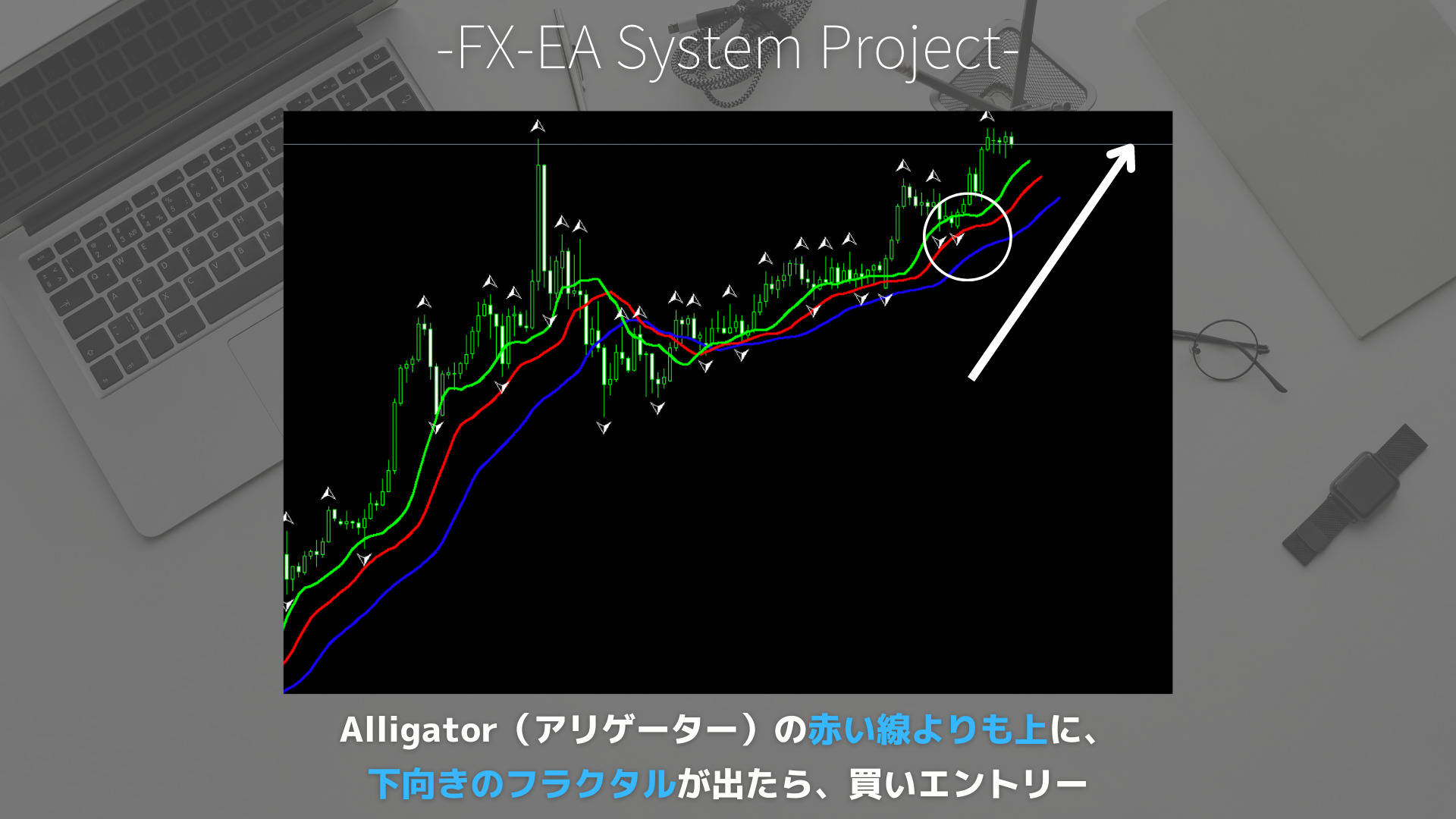 FX　Fractals（フラクタル）　アリゲーター