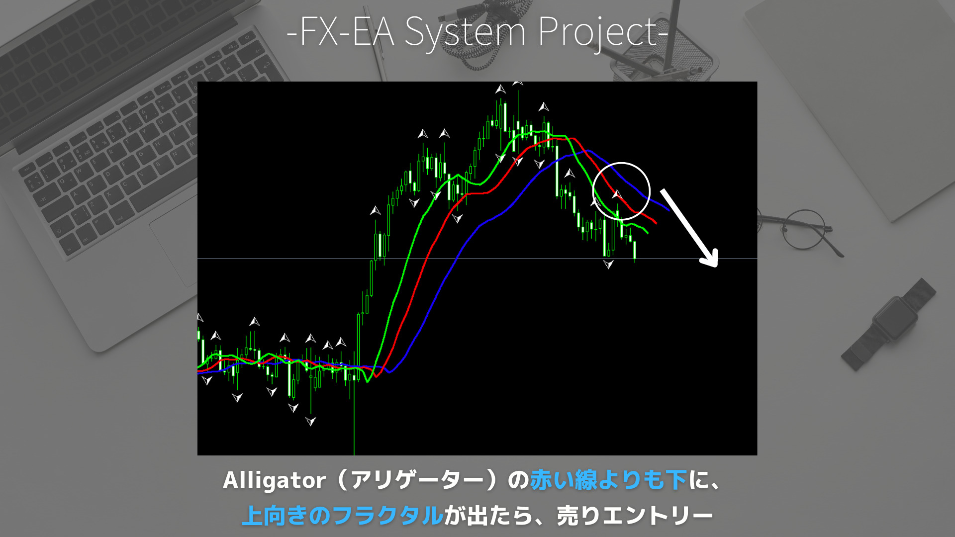 FX　Fractals（フラクタル）　アリゲーター