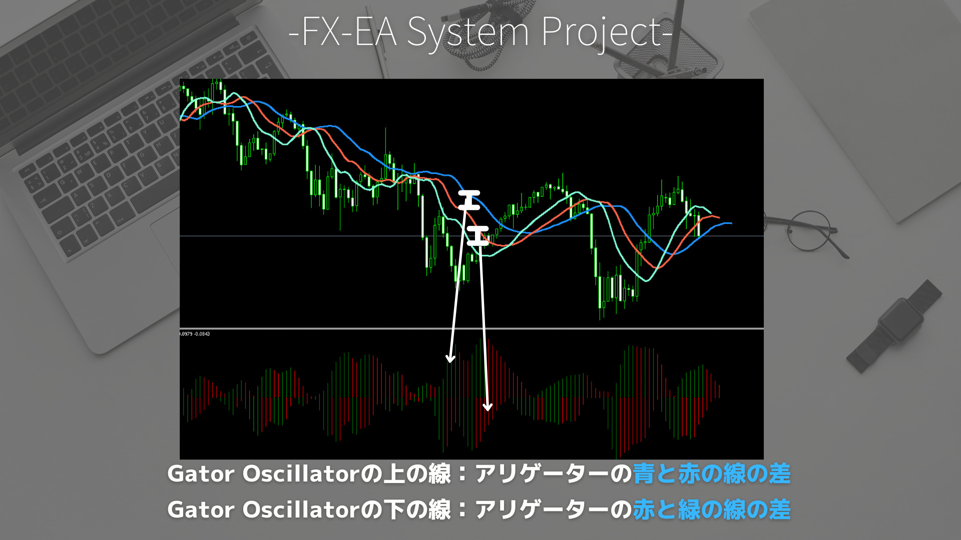 FX　Gator Oscillator（ゲーターオシレーター）