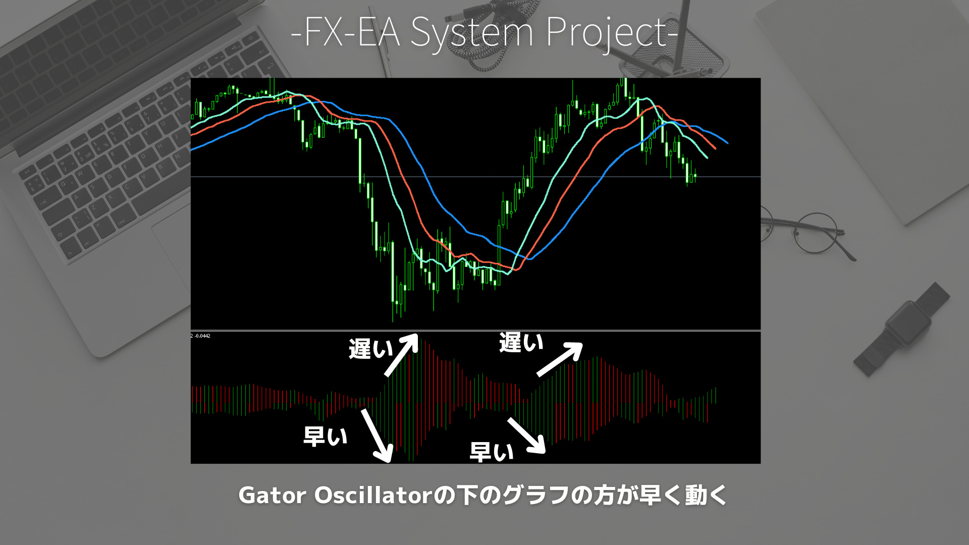 FX　Gator Oscillator（ゲーターオシレーター）