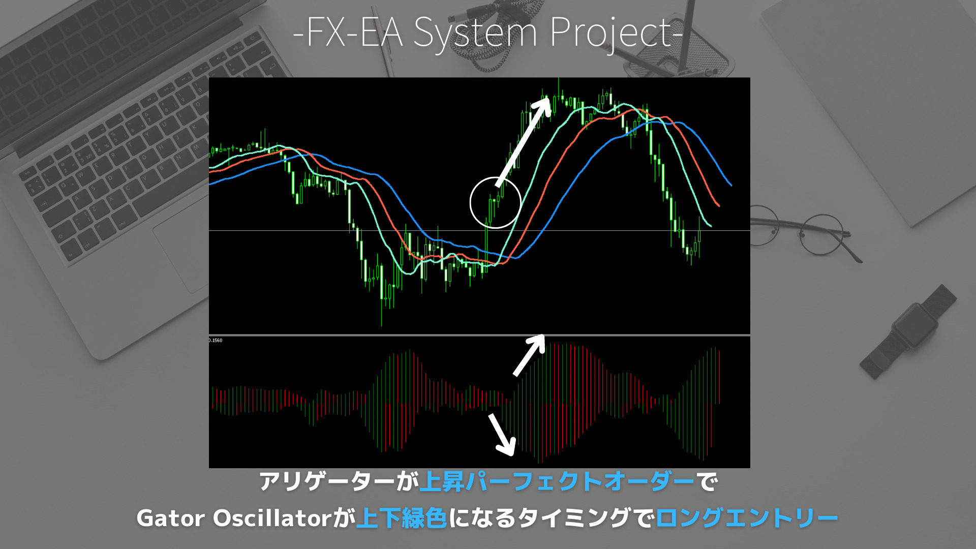 FX　Gator Oscillator（ゲーターオシレーター）