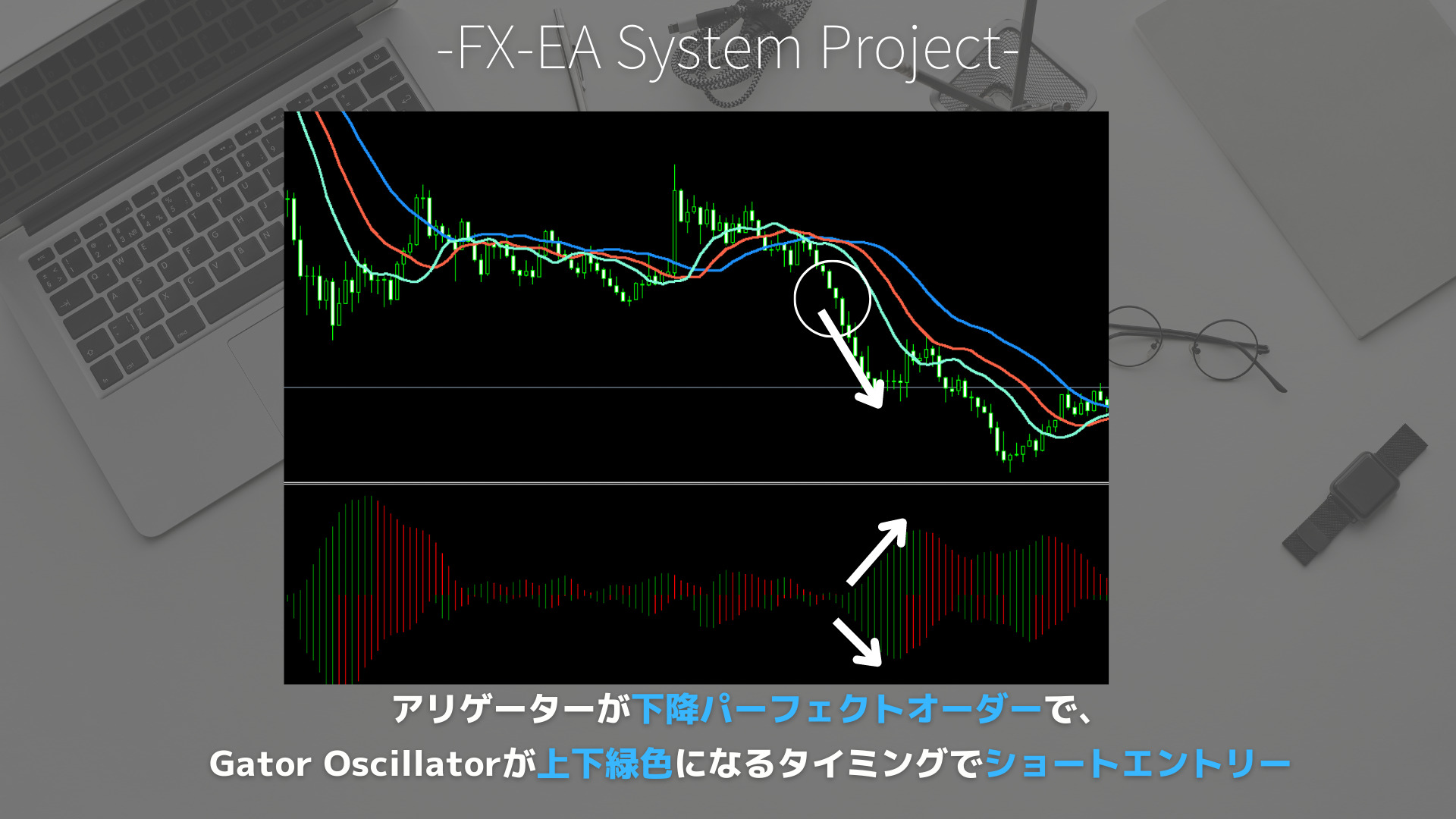 FX　Gator Oscillator（ゲーターオシレーター）