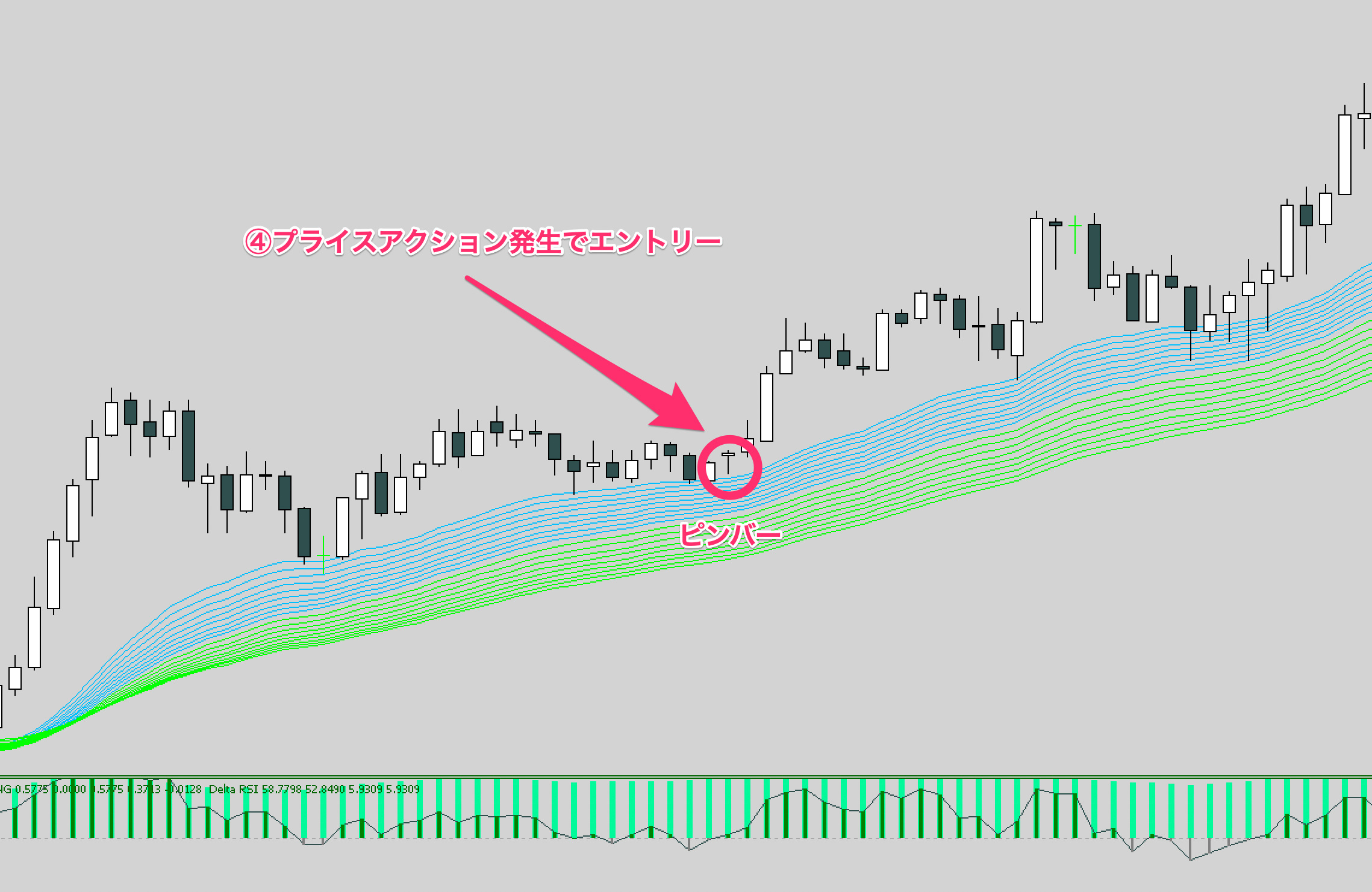 FX手法　Pull back Simple System