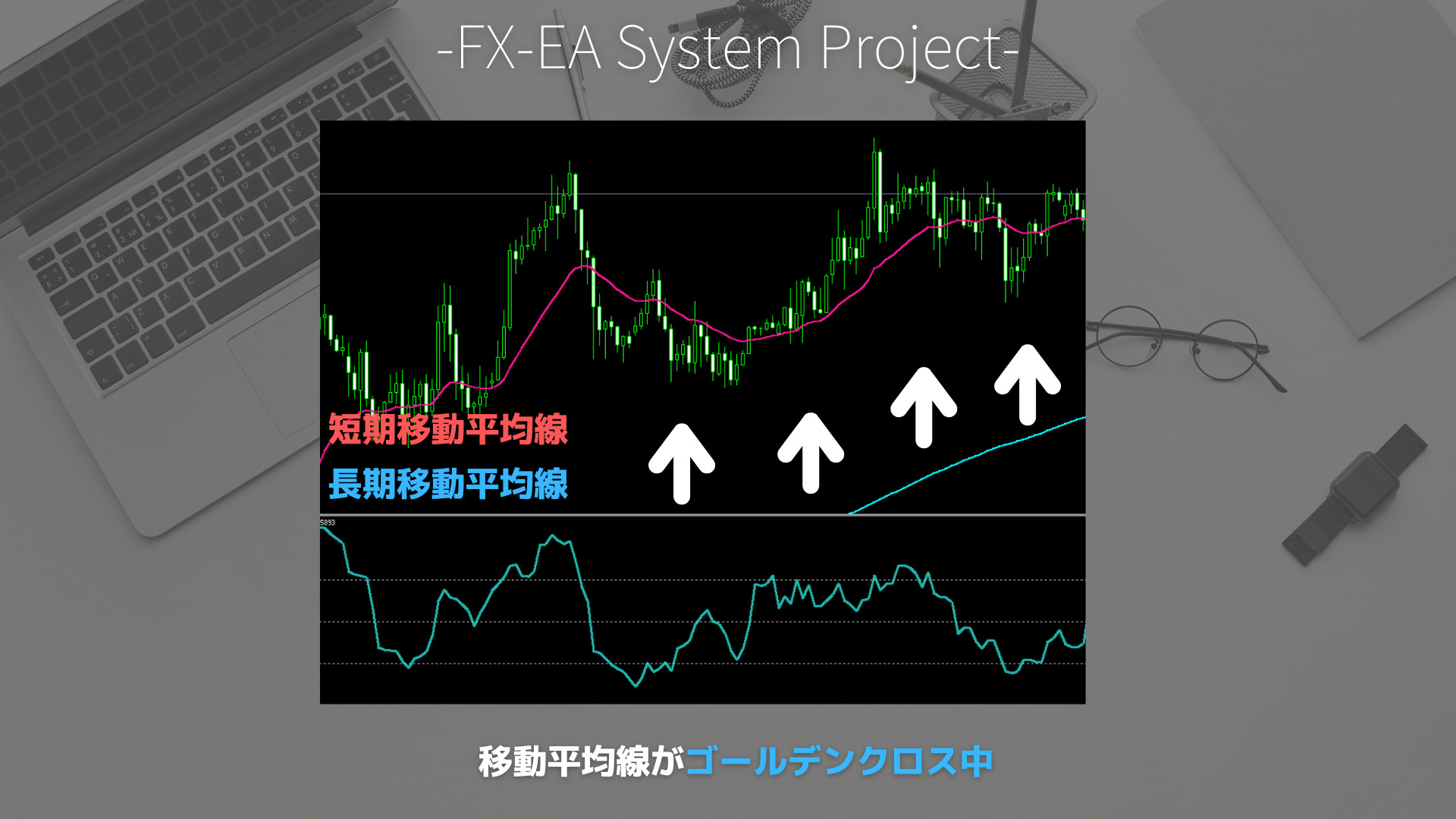 FX　DeMarker（デマーカー）